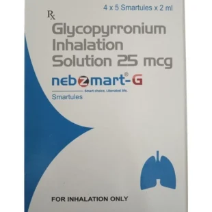NEB ZMART G SMARTULES