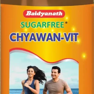 BAIDYANATH CHYAWANPRASH 500G