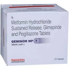 GEMINOR MP 1