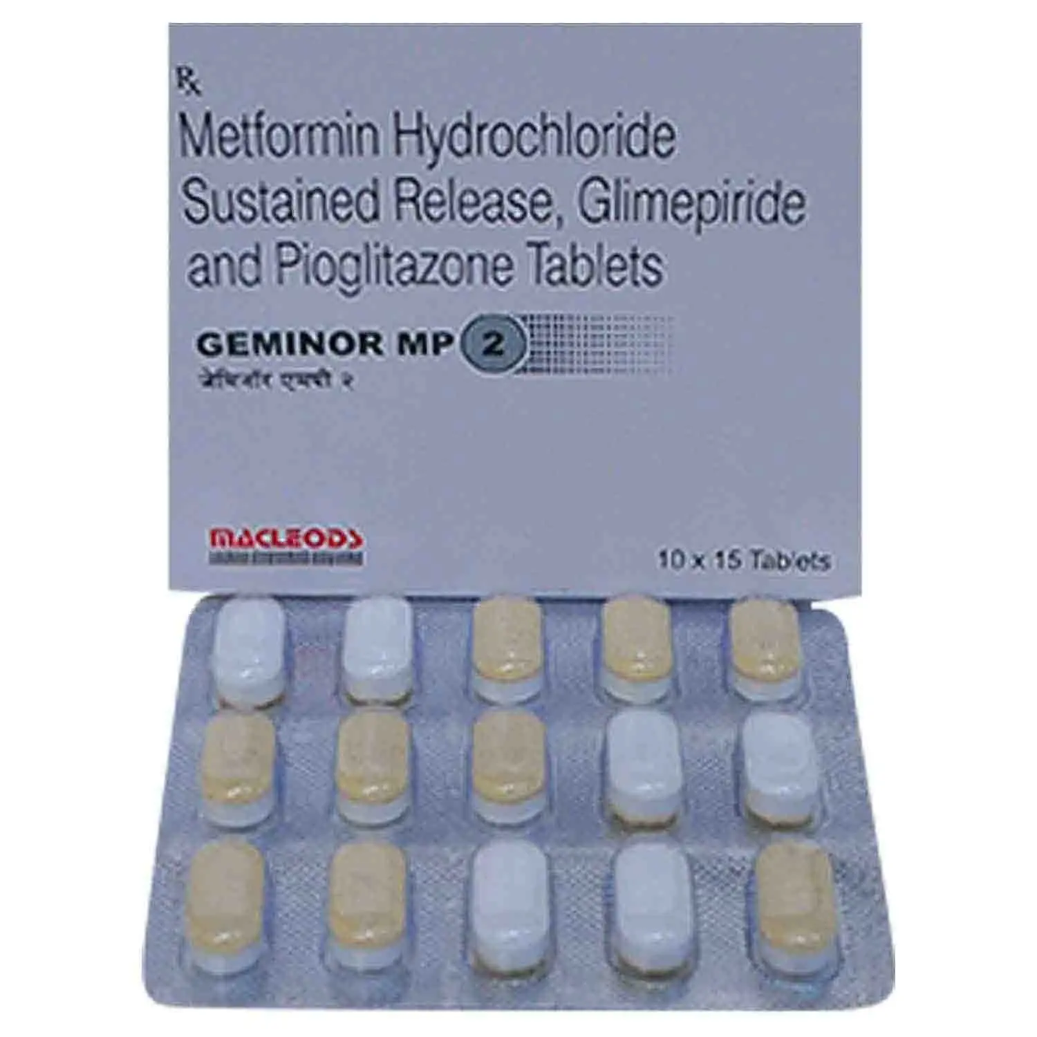 GEMINOR MP 2