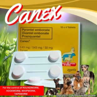 CANEX 150MG TAB